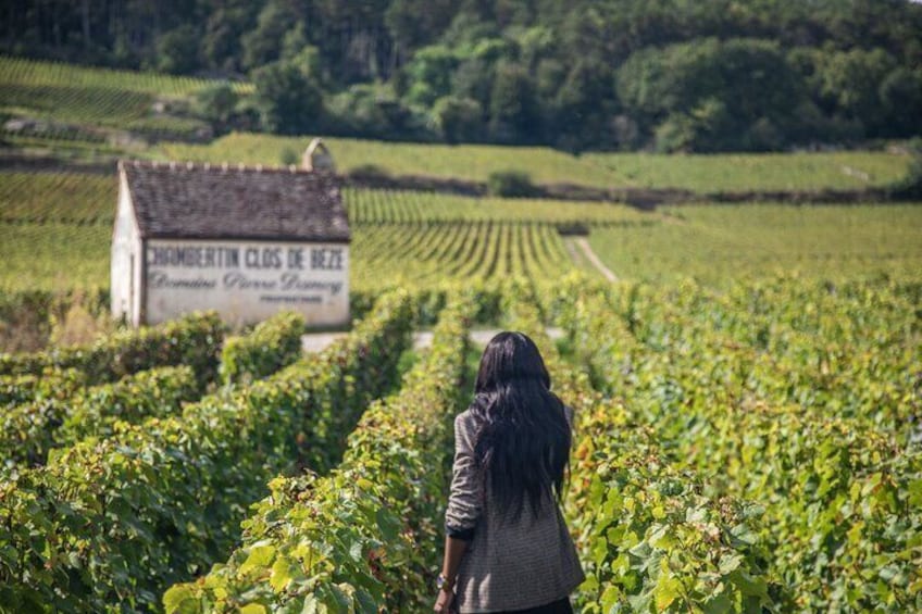Private day tour to Côte de Nuits and Côte de Beaune
