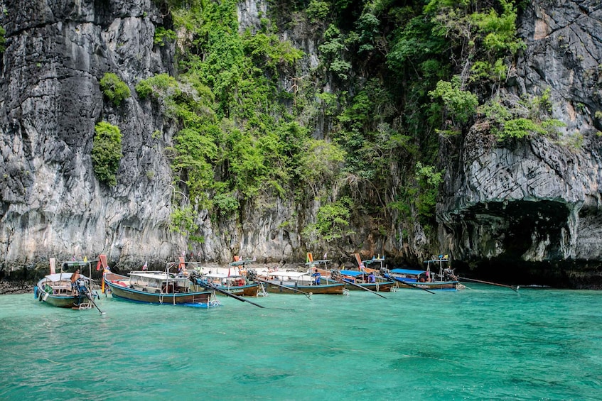 Picture 20 for Activity From Phi Phi: Half-Day Longtail Boat Tour with Snorkeling