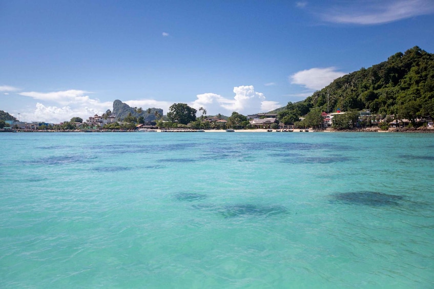 Picture 24 for Activity From Phi Phi: Half-Day Longtail Boat Tour with Snorkeling
