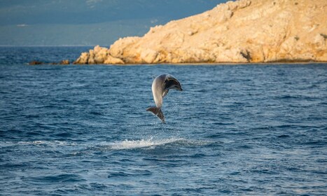 Krk: Golden Beach and Plavnik Cave Cruise with Welcome Drink