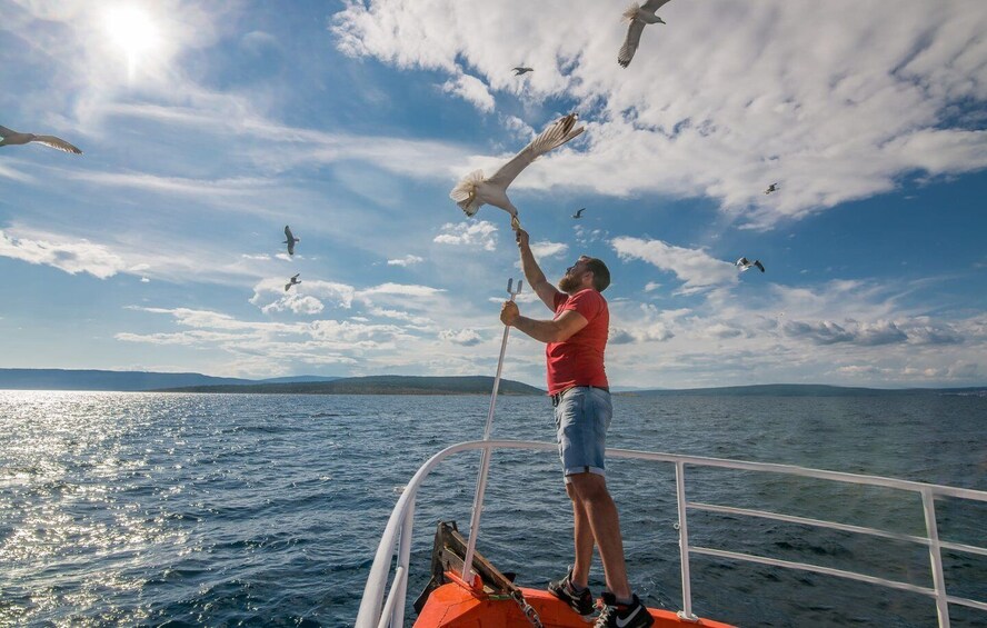 Picture 7 for Activity Krk: Golden Beach and Plavnik Cave Cruise with Welcome Drink