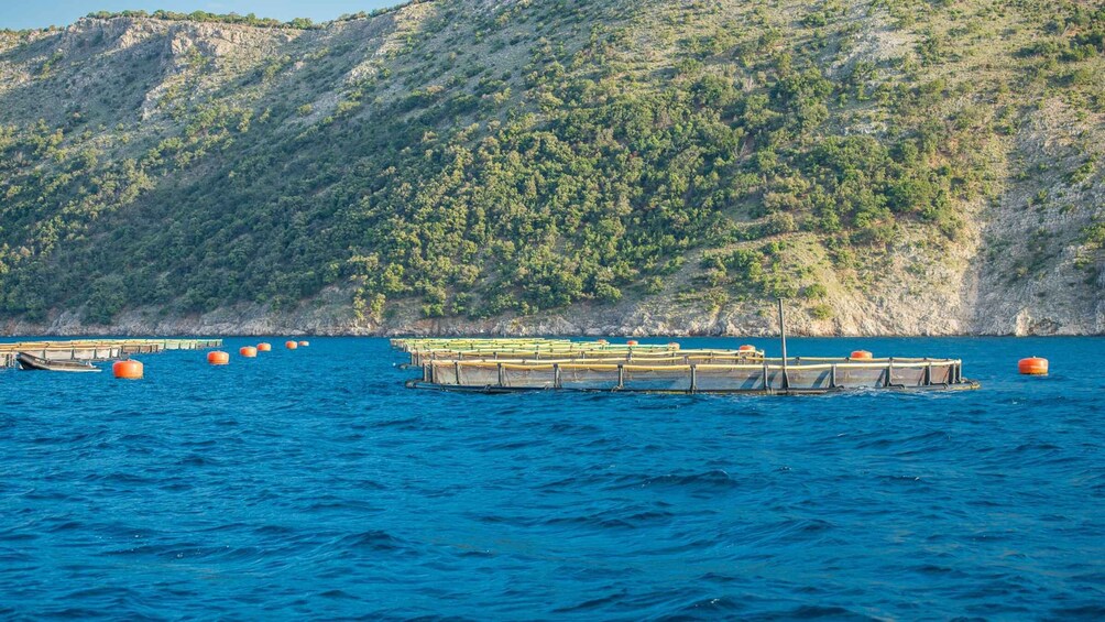 Picture 3 for Activity Krk: Golden Beach and Plavnik Cave Cruise with Welcome Drink