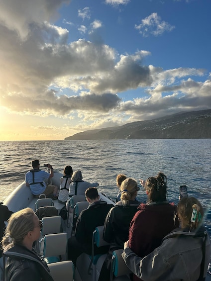 Funchal: Sunset over water by RIB boat +opt Dolphin/Whale
