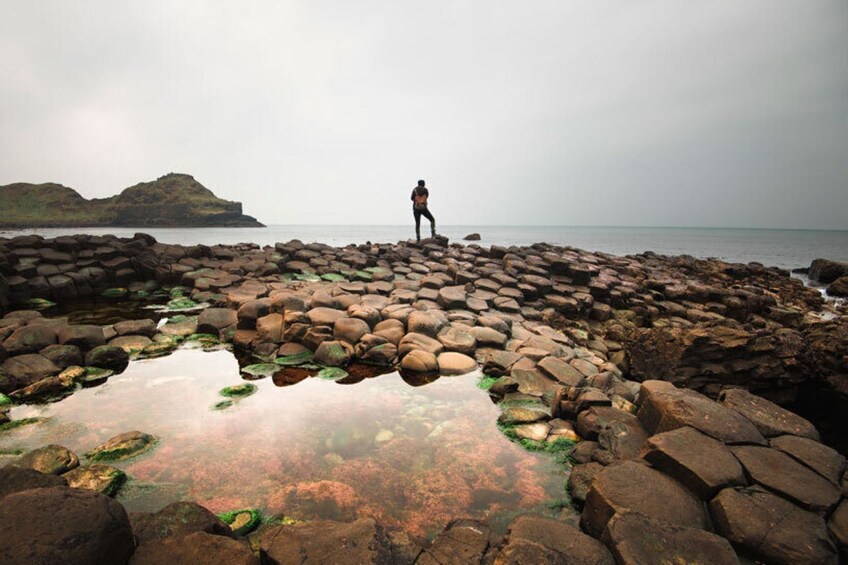 City Sightseeing Belfast: Hop-On Hop-Off Bus Tour & Giant's Causeway Tour