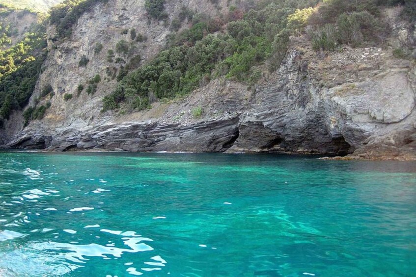 Picture 8 for Activity From Levanto: Cinque Terre and Porto Venere Day Tour