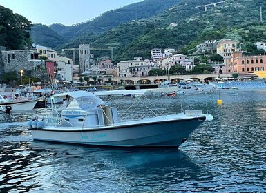 From Levanto: Cinque Terre and Porto Venere Day Tour