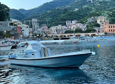 From Levanto: Cinque Terre and Porto Venere Day Tour