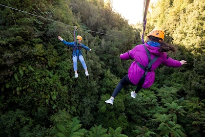 Rotorua: Ultimate guidet zipline-tur med vulkansk klippevandring