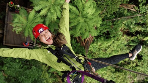 Rotorua: 6 Ziplines, 400m Tandem, Cliff Walk & Swing Bridges