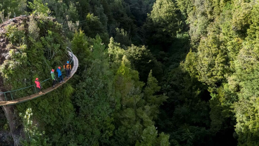 Picture 17 for Activity Rotorua: Ultimate Guided Zipline Tour w/ Volcanic Cliff Walk