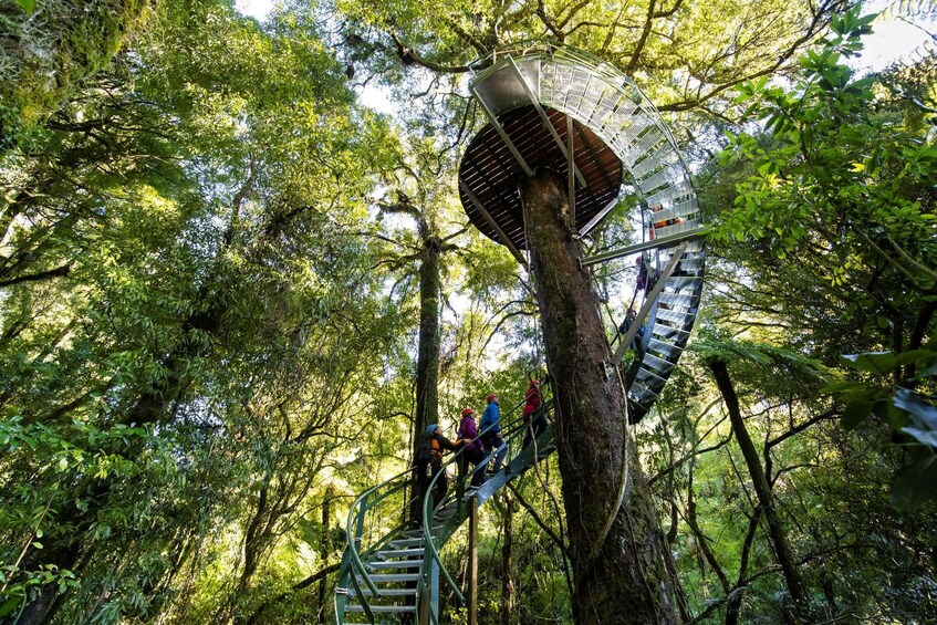 Picture 13 for Activity Rotorua: Ultimate Guided Zipline Tour w/ Volcanic Cliff Walk