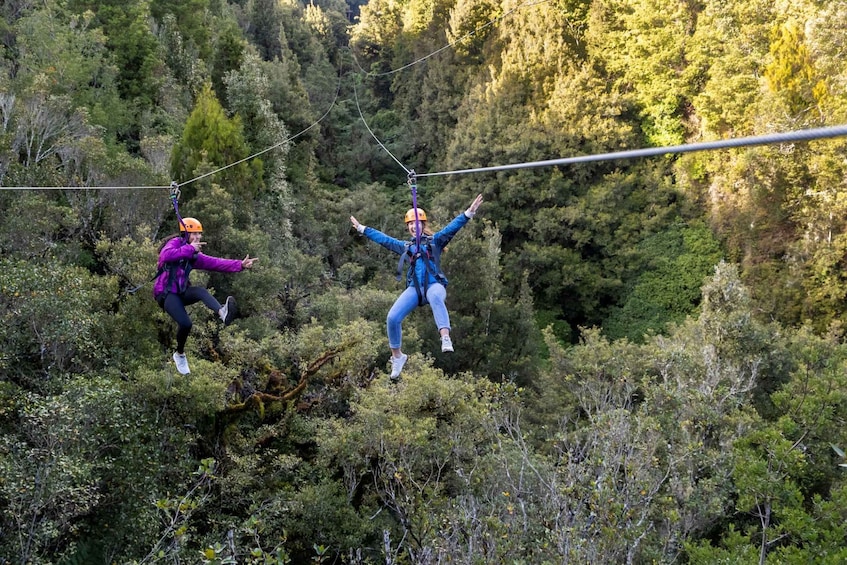 Picture 1 for Activity Rotorua: Ultimate Zipline Forest Canopy Tour