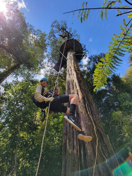 Picture 10 for Activity Rotorua: Ultimate Guided Zipline Tour w/ Volcanic Cliff Walk