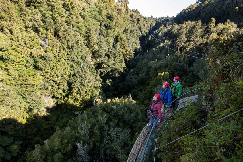 Picture 6 for Activity Rotorua: Ultimate Zipline Forest Canopy Tour