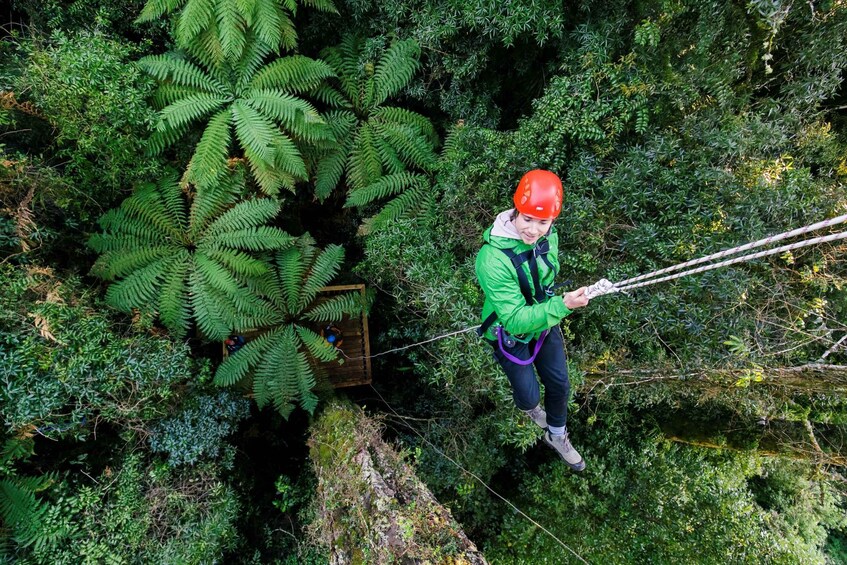 Picture 5 for Activity Rotorua: Ultimate Guided Zipline Tour w/ Volcanic Cliff Walk