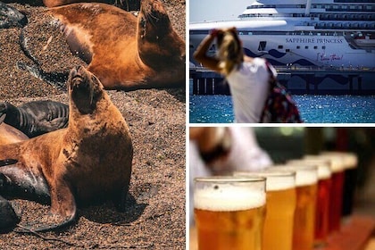 Shore Tour Punta Loma with craft beer tasting