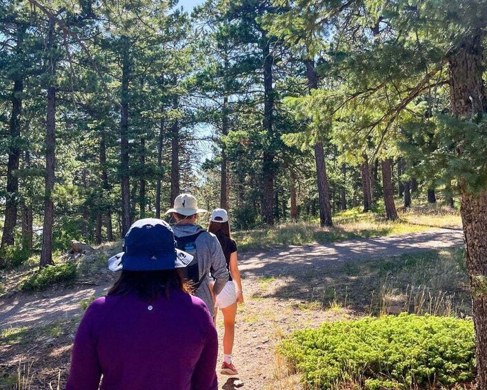 Picture 9 for Activity Hike & Paint Adventure in Colorado Rockies
