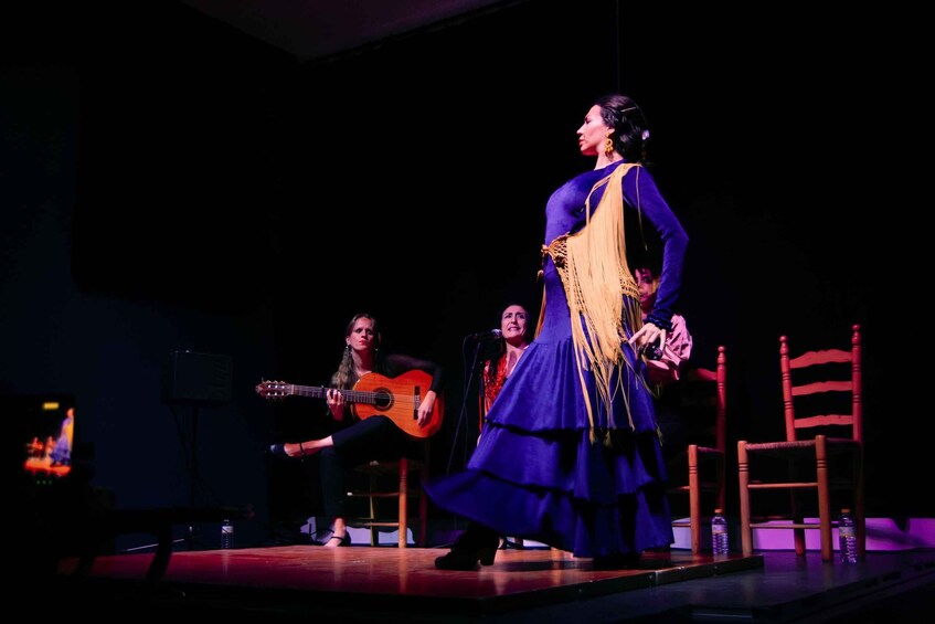 Picture 5 for Activity Valencia: Flamenco Show Tablao La Reina