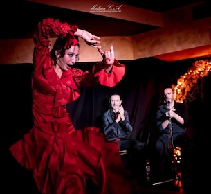 Valencia: Flamenco Show at Tablao La Reina