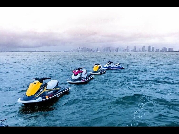 JetSki One Hour with Free Pontoon Sightseeing Tour of South Beach