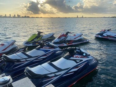 JetSki Satu Jam dengan Tur Tamasya Pontoon Gratis di Pantai Selatan