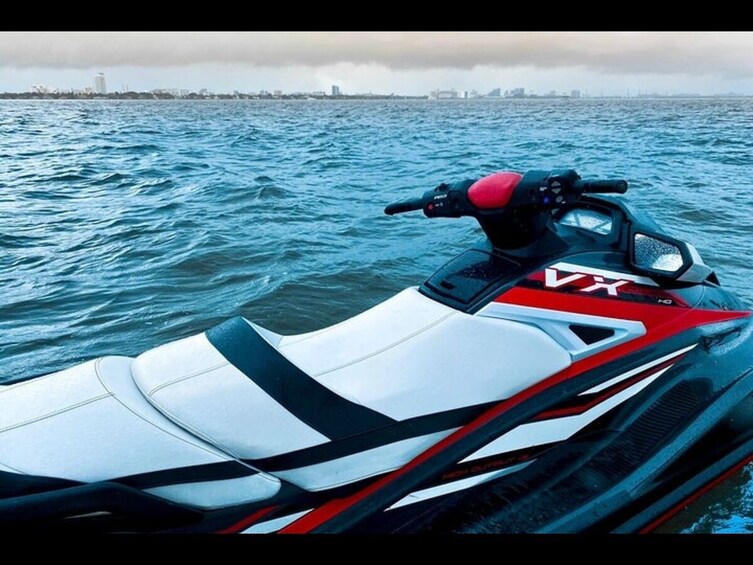 JetSki One Hour with Free Pontoon Sightseeing Tour of South Beach