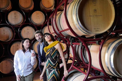 Bolgheri: visita a la bodega con degustación de vinos