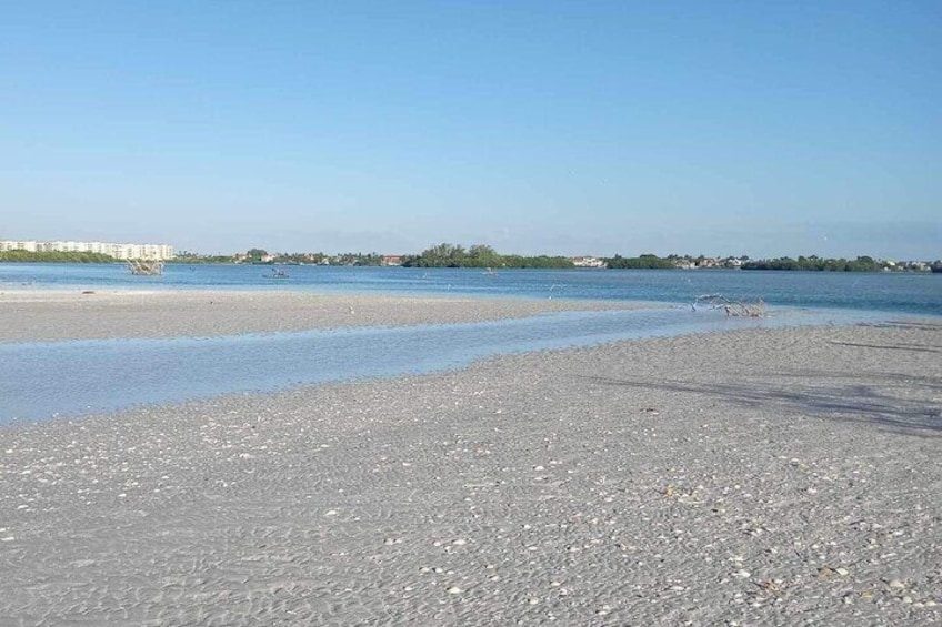 Dolphin shelling and echo tour out of Madeira Beach FL