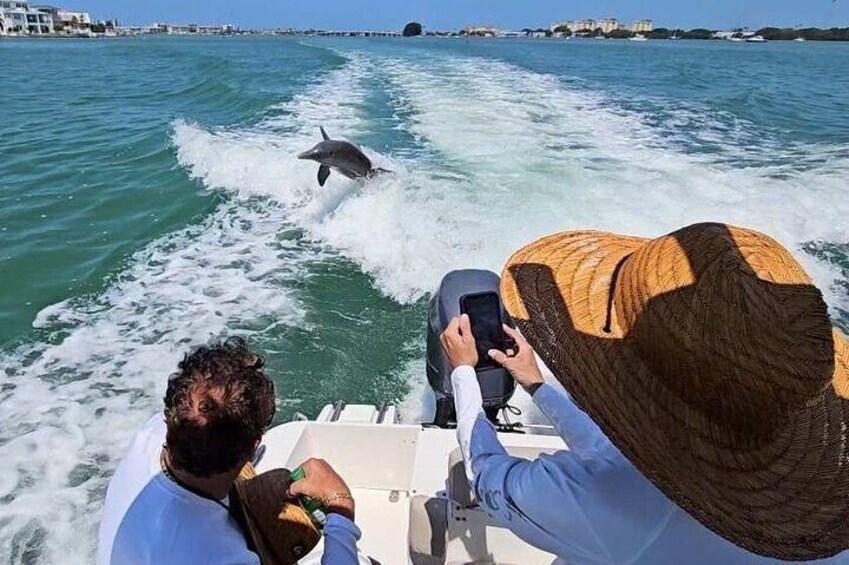 Dolphin shelling and Eco tour out of Madeira Beach FL