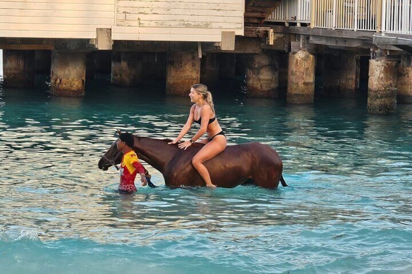 Racehorses at Pebbles Beach in Barbados