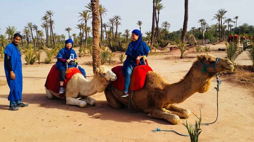 Marrakech Palmeraie: Camel Ride & Quad Bike Experience