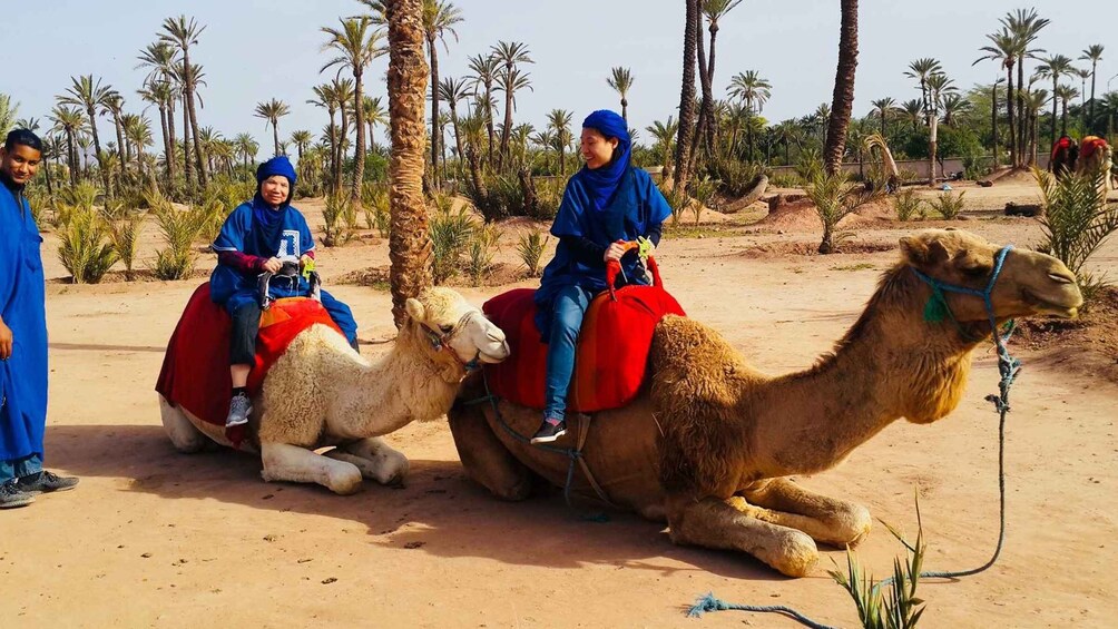 Marrakech Palmeraie: Camel Ride & Quad Bike Experience