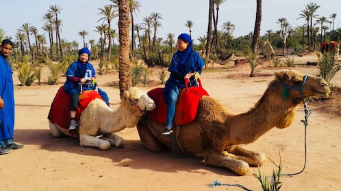 Palmeraie de Marrakech: Paseo en camello y experiencia en quad