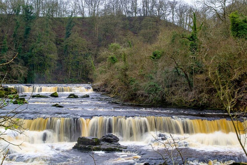 Picture 4 for Activity The Yorkshire Dales Tour from York