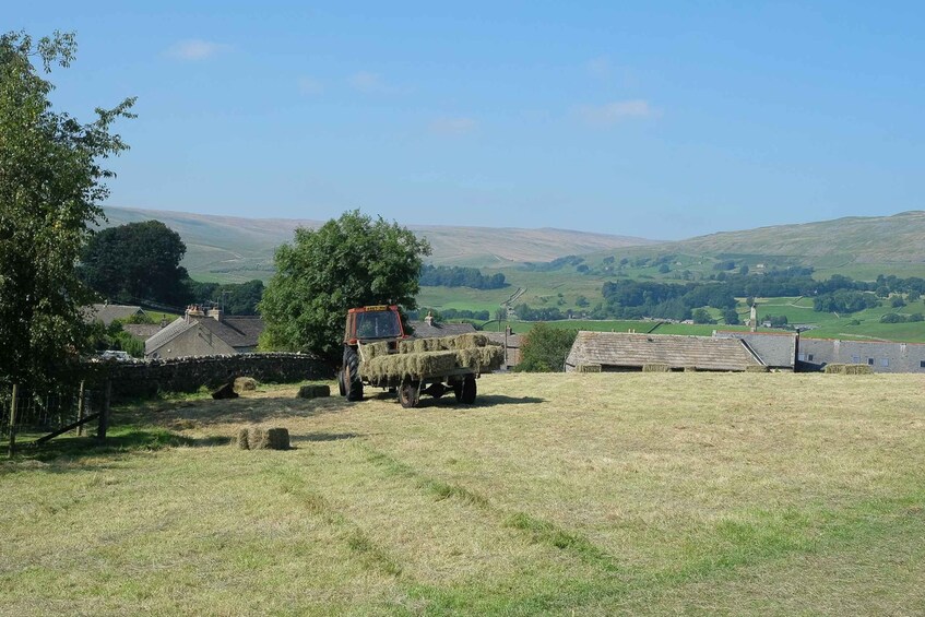 Picture 7 for Activity The Yorkshire Dales Tour from York