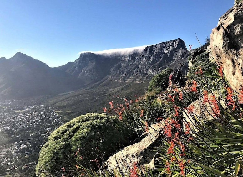 Picture 1 for Activity Cape Town: Lion’s Head Sunrise or Sunset Hike