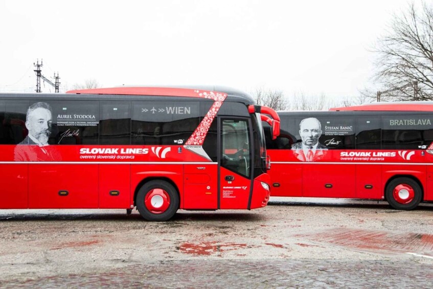 Picture 1 for Activity Bratislava: Bus Transfer to/from Vienna Airport