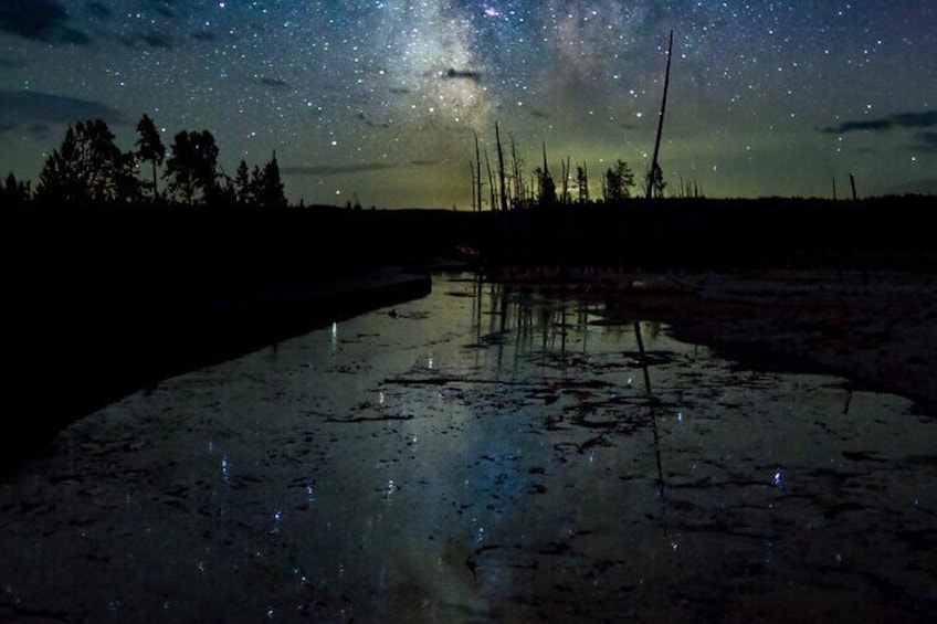 Yellowstone Wildlife Tour