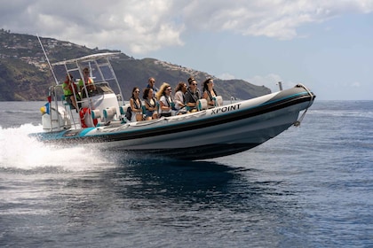 Madeira: Coastal sightseeing tour by RIB boat