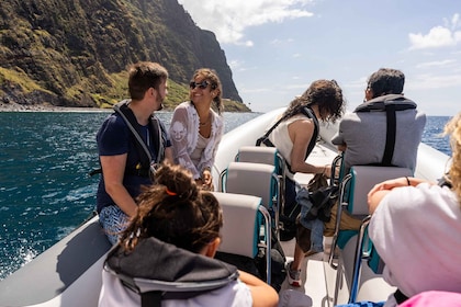 Madeira: Coastal sightseeing tour by RIB boat