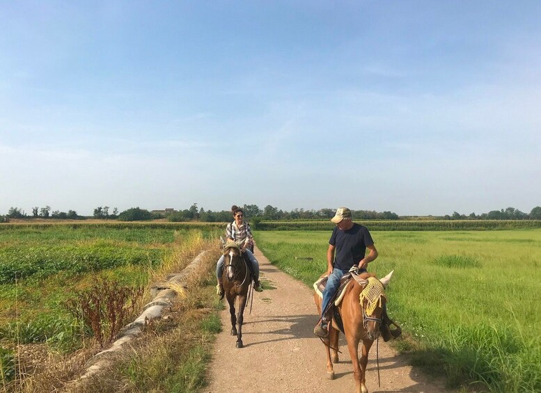 Picture 1 for Activity Verona: Horseback Riding and Wine Tasting Experience