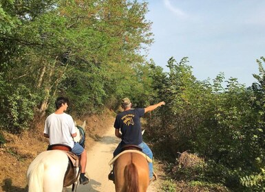 Vérone : Randonnée à cheval et dégustation de vin