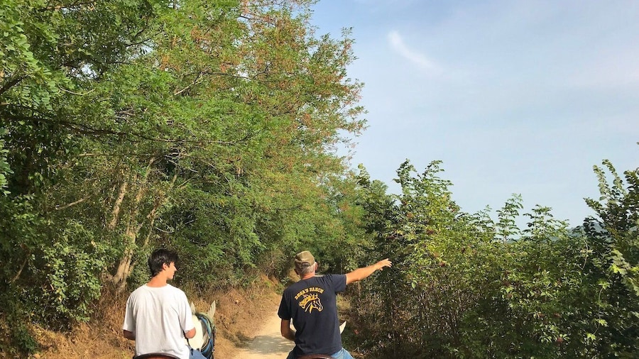 Verona: Horseback Riding and Wine Tasting Experience