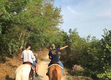 Vérone : Randonnée à cheval et dégustation de vin