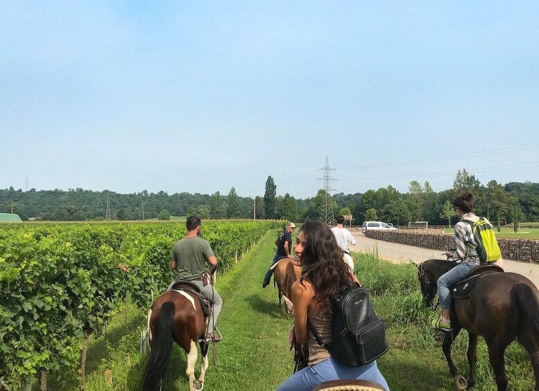 Picture 4 for Activity Verona: Horseback Riding and Wine Tasting Experience