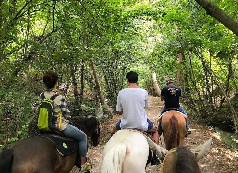 Picture 5 for Activity Verona: Horseback Riding and Wine Tasting Experience