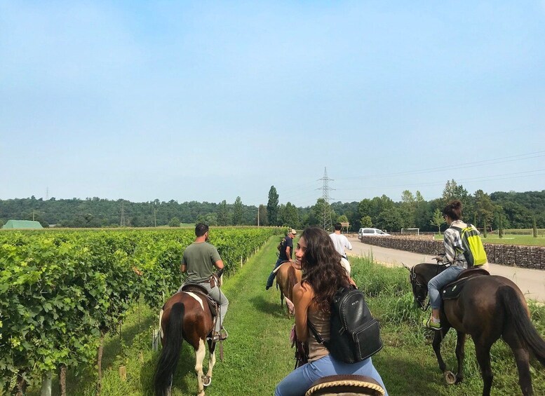 Picture 4 for Activity Verona: Horseback Riding and Wine Tasting Experience