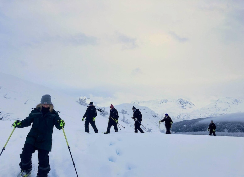 Picture 13 for Activity Guided Snowshoeing Adventure from Seward, Alaska