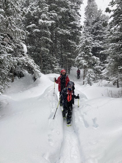 Picture 19 for Activity Guided Snowshoeing Adventure from Seward, Alaska