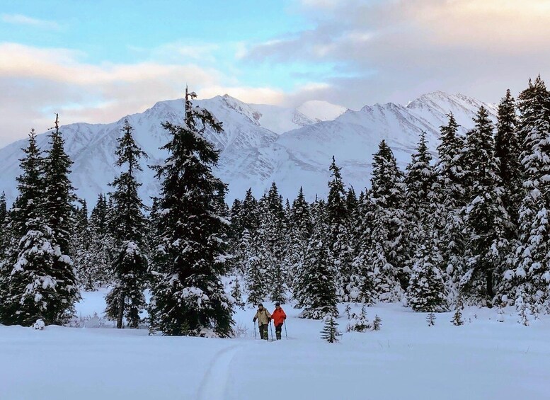 Picture 1 for Activity Guided Snowshoeing Adventure from Seward, Alaska